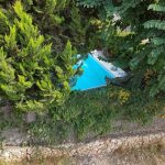 PHOTO-2020-02-20-12-59-34